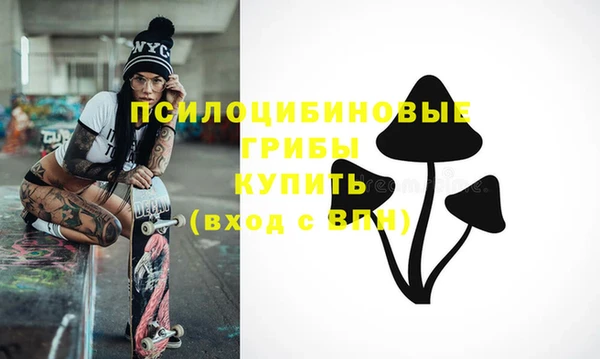 гашик Арсеньев
