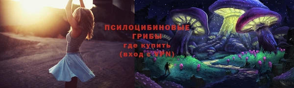 спайс Аркадак
