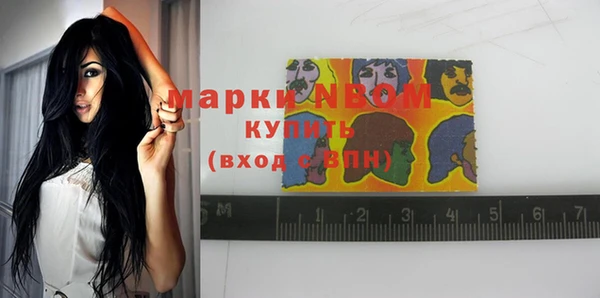 гашик Арсеньев