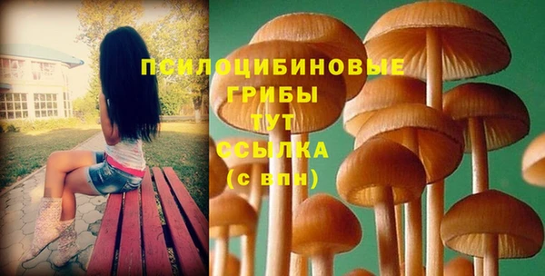 Альфа ПВП Армянск