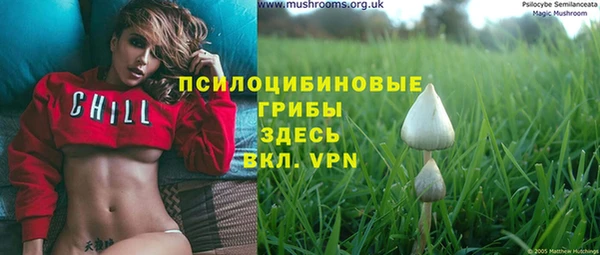 Альфа ПВП Армянск
