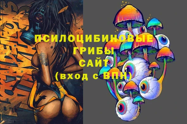 прущий лед Алзамай
