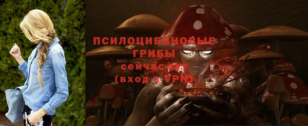 Альфа ПВП Армянск