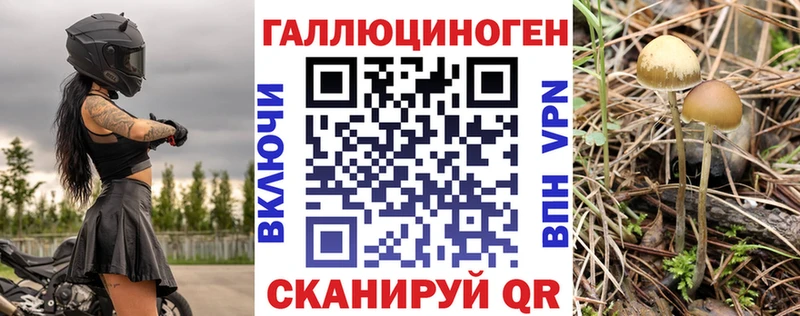 дарк нет какой сайт  Дедовск  Псилоцибиновые грибы GOLDEN TEACHER 